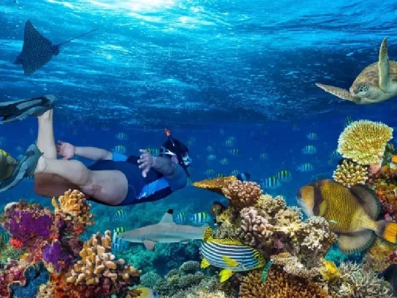 Cairo, Nile Cruise & Hurghada Holiday Cairo, Nile Cruise & Hurghada Holiday