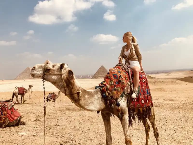 A solo traveller riding camel in Giza Pyramids A solo traveller riding camel in Giza Pyramids