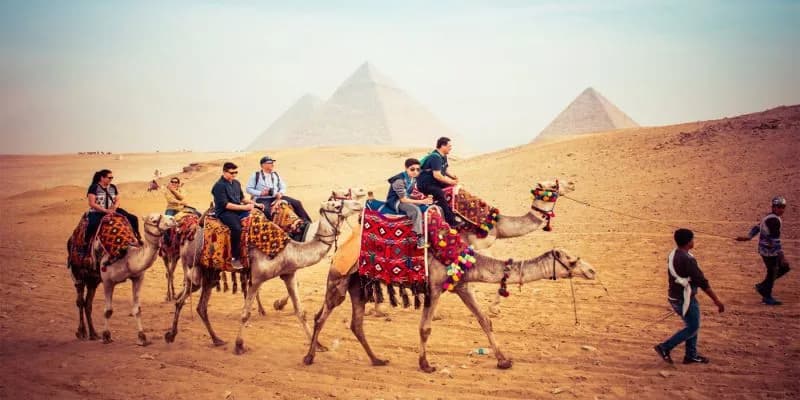 un gruppo di turisti in una camellata, Cairo crociera e marsa alam , un gruppo di turisti in una camellata, Cairo crociera e marsa alam ,