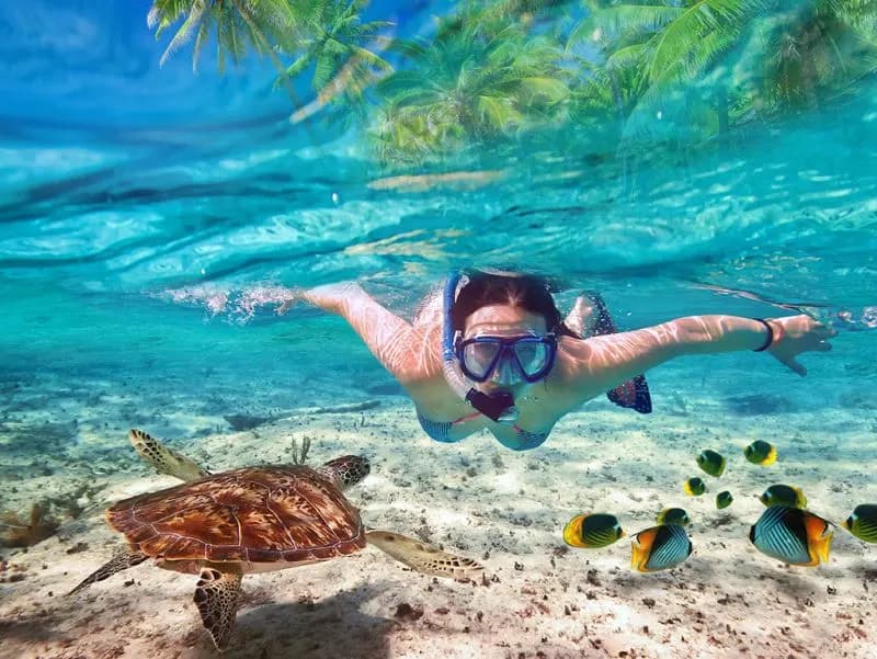 una donna fa snorkeling al mar rosso , pacchetti viaggio Egitto una donna fa snorkeling al mar rosso , pacchetti viaggio Egitto