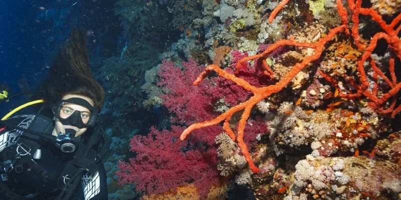 Combiné croisière nil et séjour mer rouge avec visite du GEM Combiné croisière nil et séjour mer rouge avec visite du GEM