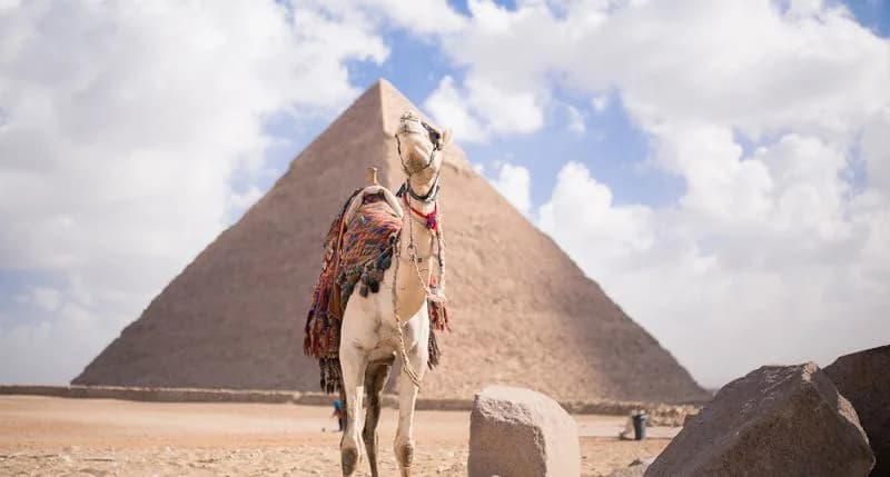 Combiné croisière nil et séjour mer rouge avec visite du GEM Combiné croisière nil et séjour mer rouge avec visite du GEM