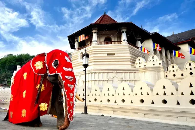 Treasures of Sri Lanka Treasures of Sri Lanka