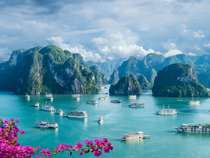 Vietnam Journey into Nature Tour Vietnam Journey into Nature Tour