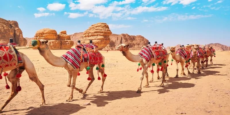 Tour Por Al Ula en 4 Días Tour Por Al Ula en 4 Días