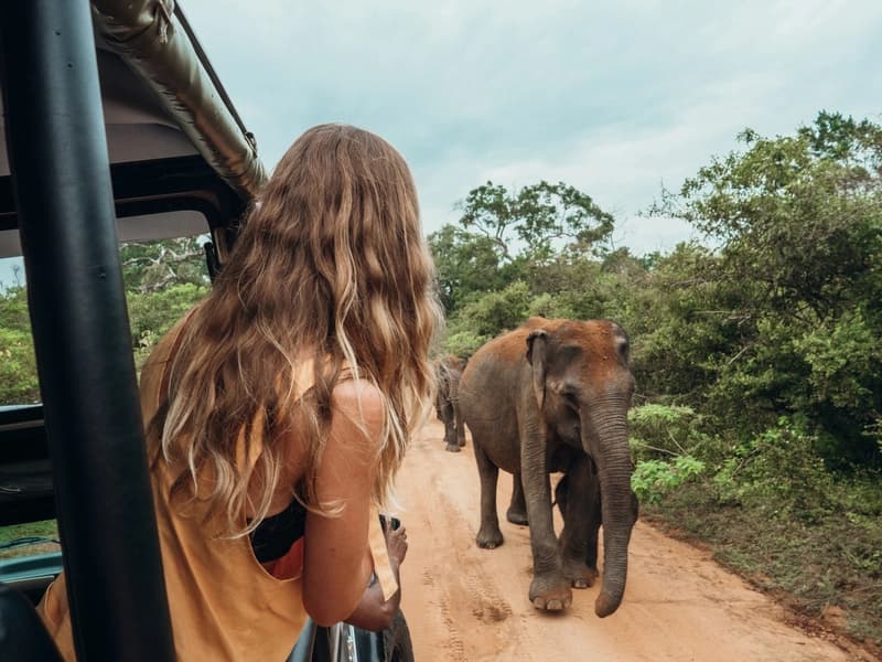 Parque Nacional de Yala mulher-em-jipe-de-safari-observando-elefantes-selvagens-em-estrada-de-terra-em-parque-nacional-do-sri-lanka