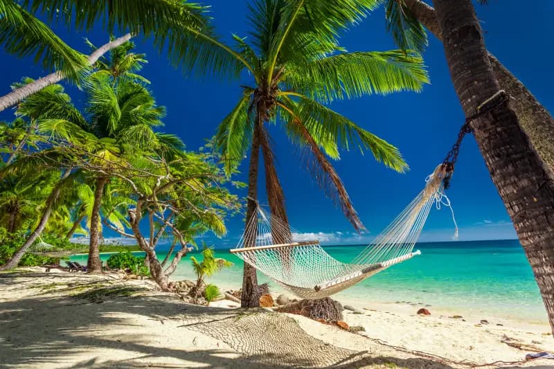 Beach hammock in Fiji empty-hammock-hanging-between-palm-trees-on-a-white-sand-beach-with-turquoise-water-in-fiji
