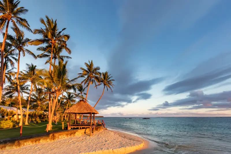 Fiji beach hut thatched-roof-beach-hut-surrounded-by-palm-trees-on-a-tropical-shore-in-fiji-at-sunset